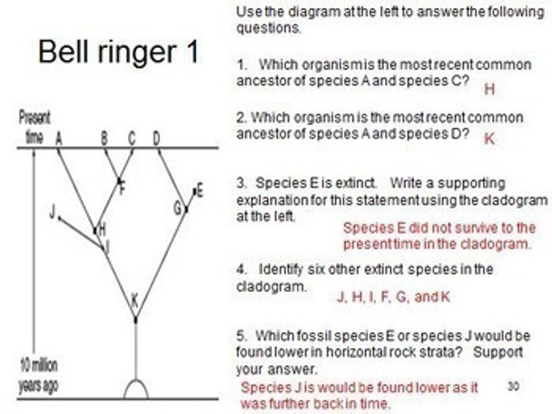 Evolution Learning Activities (Distance Learning)