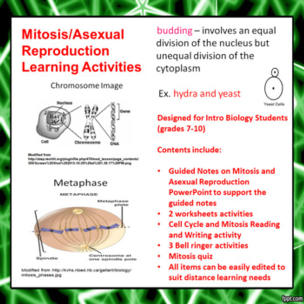 Mitosis/Asexual Reproduction Learning Activities (Distance Learning)