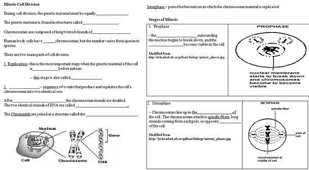 Mitosis/Asexual Reproduction Learning Activities (Distance Learning)