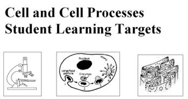 Student Learning (I can) Targets for Cells and Cell Processes