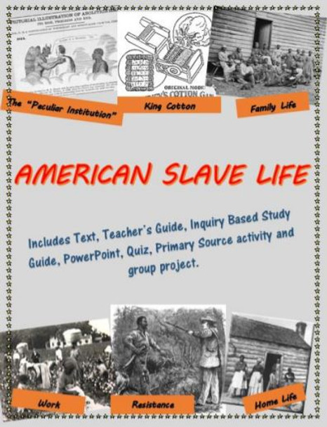 American Slave Life mini-unit, including text