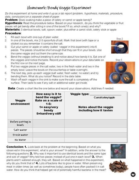 Cell Organelles Activity | Distance Learning for Google Slides™ + print version