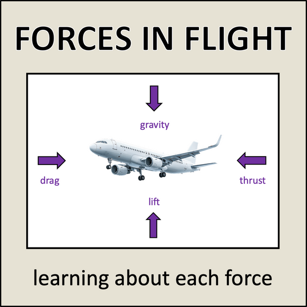 Flight - Complete Lesson