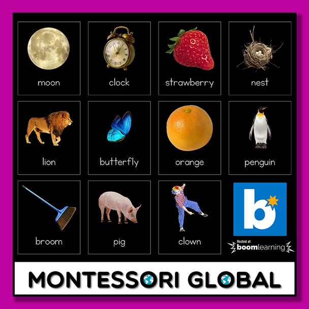 Montessori Sound Game | Initial Sounds | Boom Cards