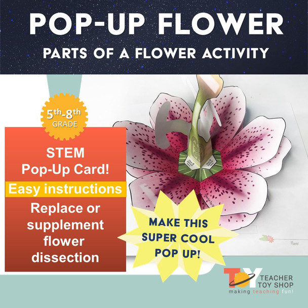 Parts of a Flower STEM Activity