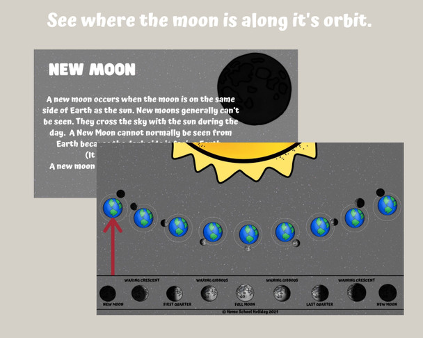 Phases of the Moon worksheets pdf