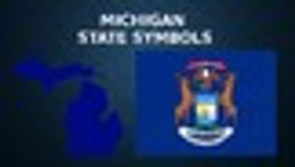 Michigan State Symbols PowerPoint