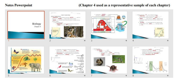 Notes: PowerPoint presentation (Chapter 4 used as a representative sample)