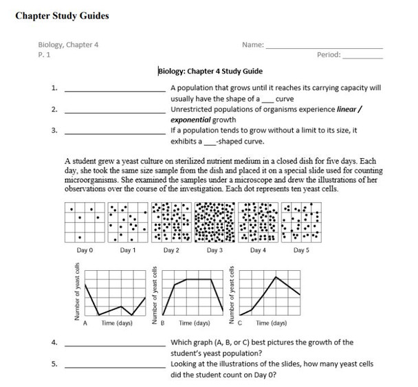 Chapter Study Guides