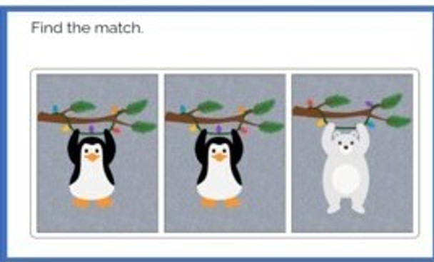 Matching: Winter Animal Theme Boom Cards™