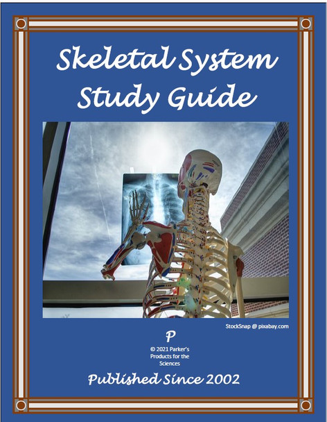 Skeletal System Study Guide