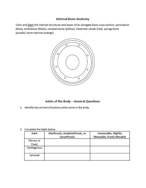 Skeletal System Study Guide