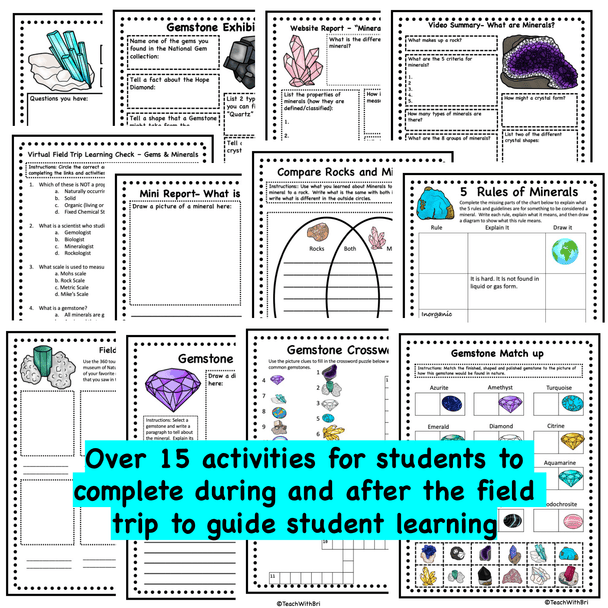 Minerals and Gemstones- Geology Virtual Field Trip -  Printable PDF Version 