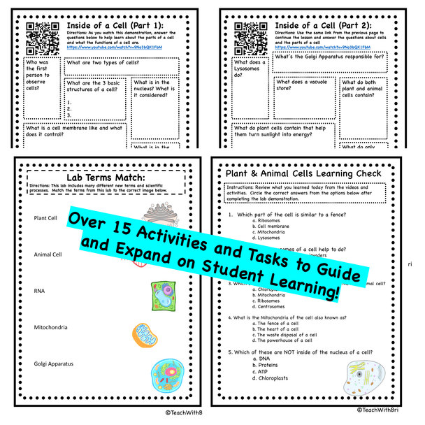 FREE Virtual Science Lab Demonstration-Plant and Animal Cells -  Version and PDF Version Included 