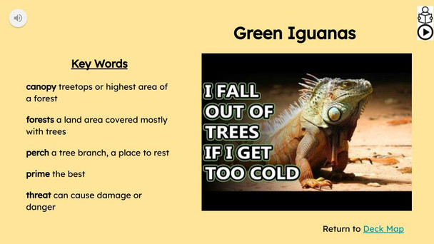 Iguanas Informational Text Reading Passage and Activities