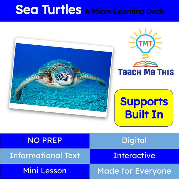 Sea Turtles Informational Text Reading Passage and Activities