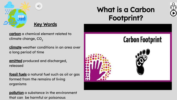 Carbon Footprint Informational Text Reading Passage and Activities