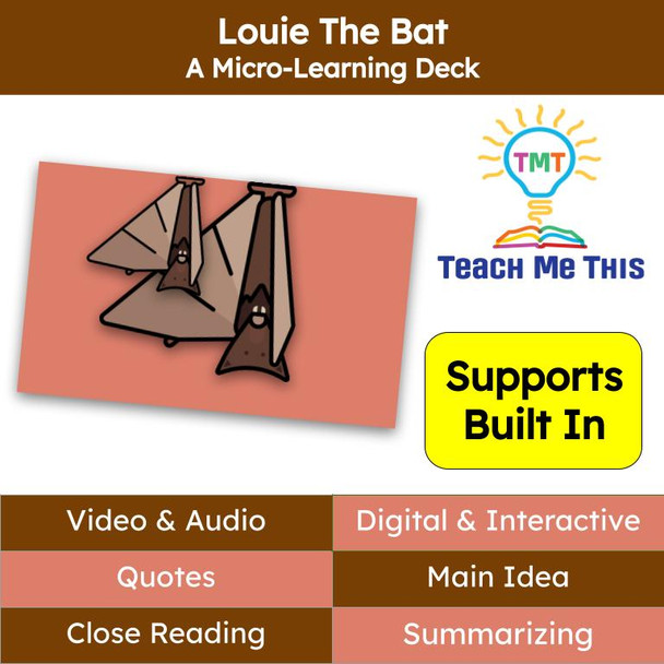 Louie the Bat Reading Passage and Activities