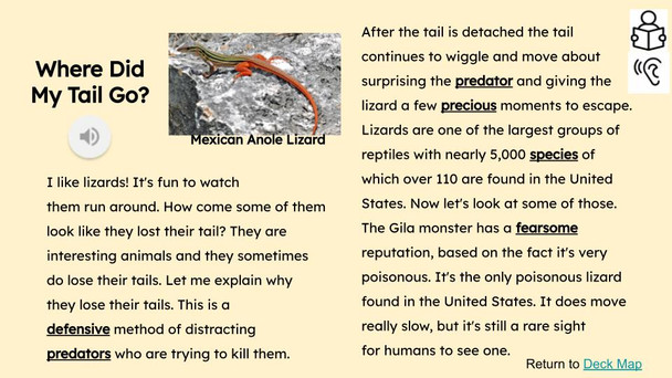 FREE   Lizards Informational Text Reading Passage and Activities