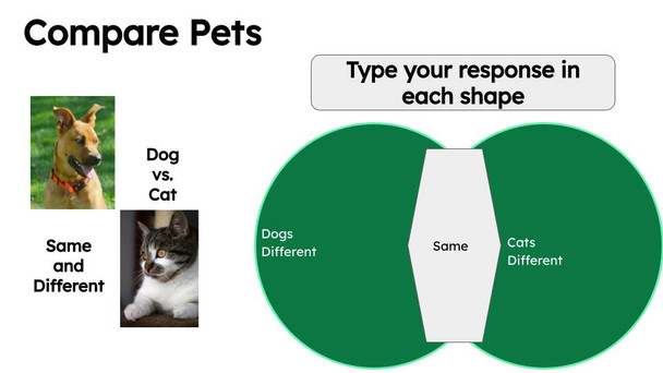 Comparison Writing Templates and Graphic Organizers