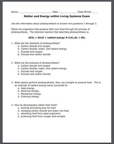 Matter and Energy Within Living Systems Exam