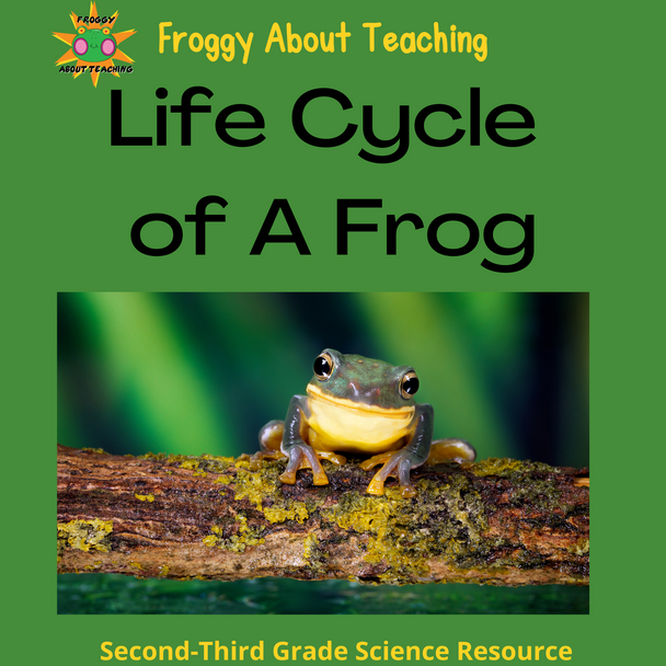 Life Cycle of a Frog