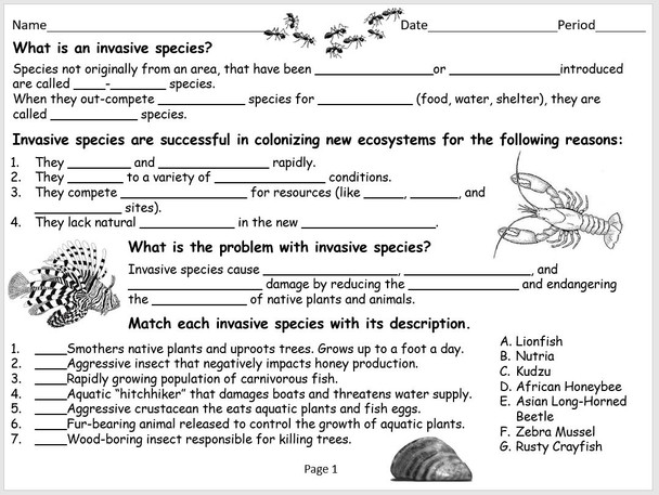 Invasive Species