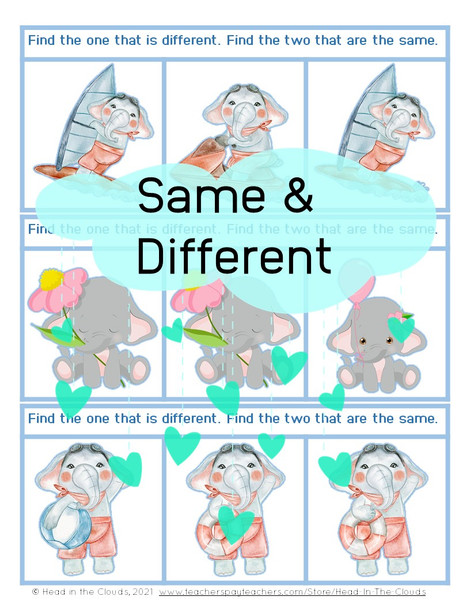 Same & Different - Summer Animals - Matching & Find the Difference