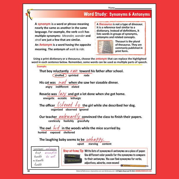 Montessori Spelling Vocabulary GUIDE III Spelling Activities and Practice Sheets - VETERAN Montessori-inspired printable Language help (25 pages + key)