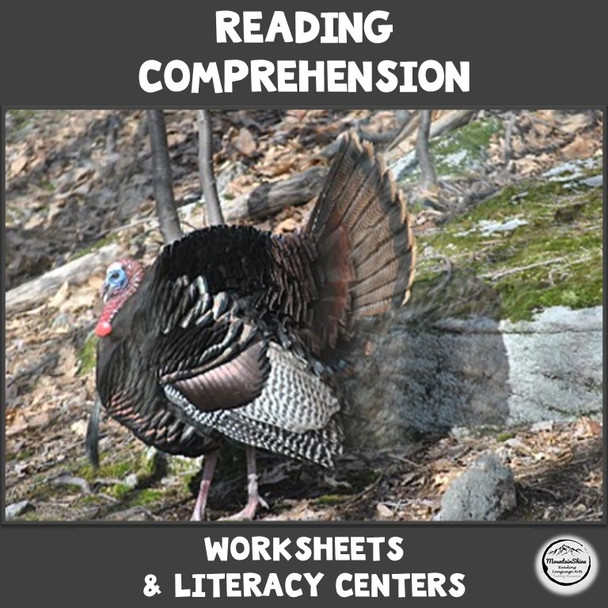 Reading Comprehension Worksheets and Literacy Center Turkey Theme