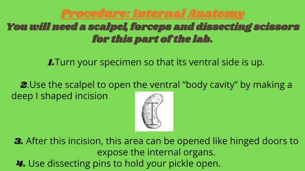 Autopsy Lab