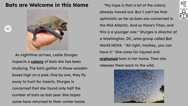 These Bats Are  Welcome Informational Text Reading Passage and Activities