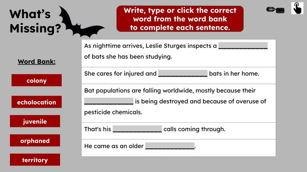 These Bats Are  Welcome Informational Text Reading Passage and Activities