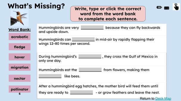 Hummingbirds Informational Text Reading Passage and Activities