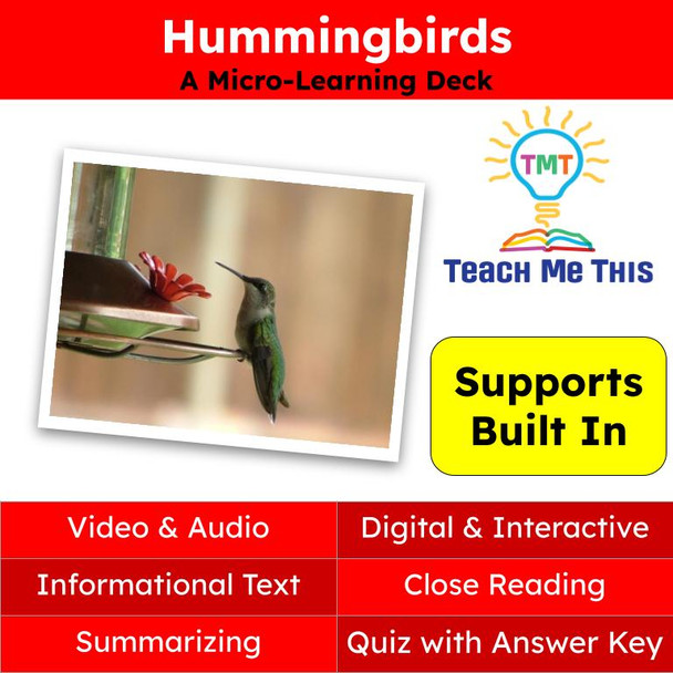 Hummingbirds Informational Text Reading Passage and Activities