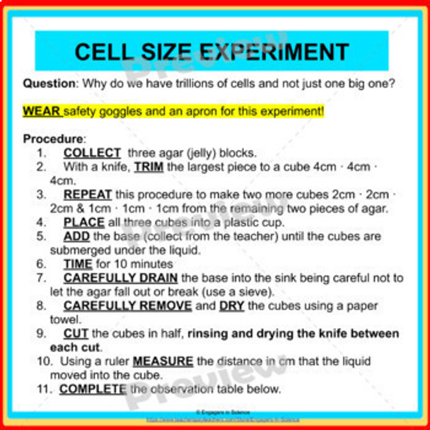 Cell Size- Investigating why we have trillions of cells and not one big cell?