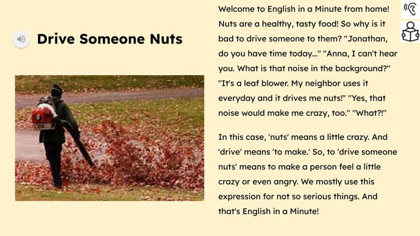  Drive Someone Nuts Figurative Language Reading Passage and Activities