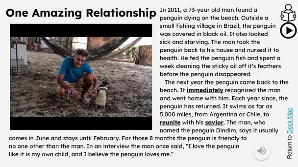 Penguins Informational Text Reading Passage and Activities