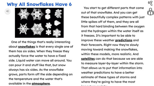 Snowflakes Informational Text Reading Passage and Activities