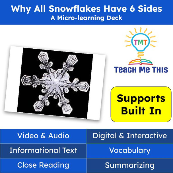 Snowflakes Informational Text Reading Passage and Activities