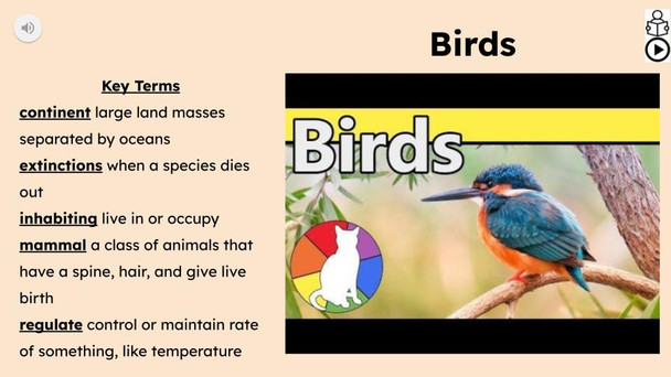 Birds Informational Text Reading Passage and Activities