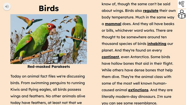 Birds Informational Text Reading Passage and Activities