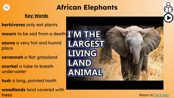 African Elephants Informational Text Reading Passage and Activities