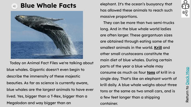 Blue Whale Facts Informational Text Reading Passage and Activities