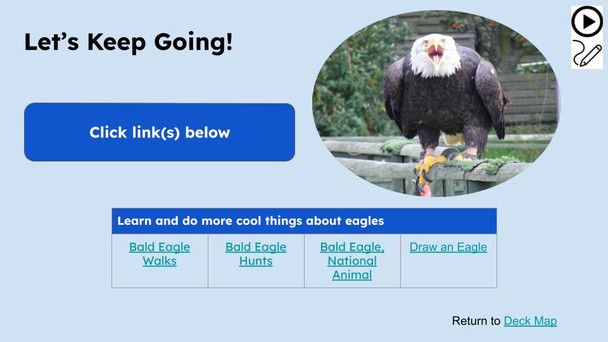 Bald Eagles Informational Text Reading Passage and Activities