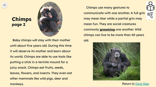 Chimps Informational Text Reading Passage and Activities