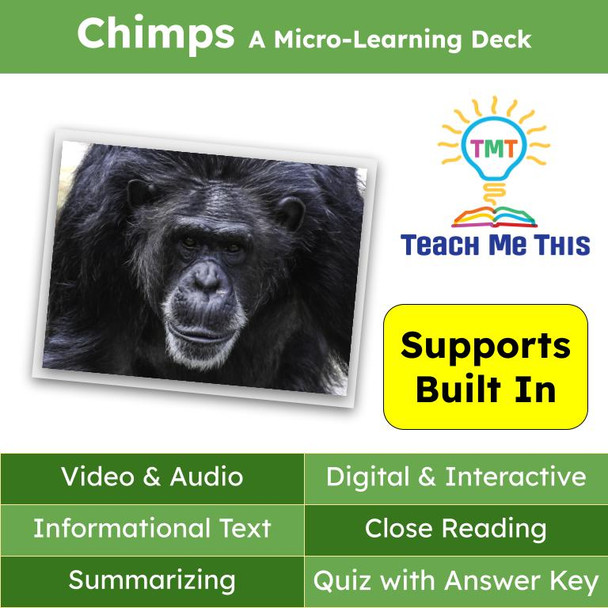 Chimps Informational Text Reading Passage and Activities