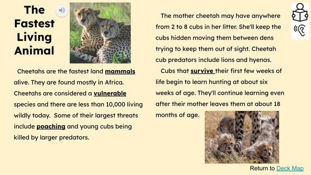 Cheetahs Informational Text Reading Passage and Activities