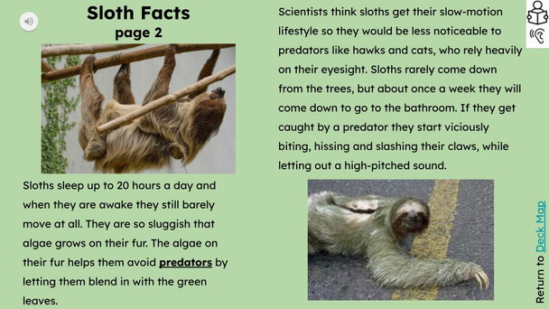 Sloth Informational Text Reading Passage and Activities