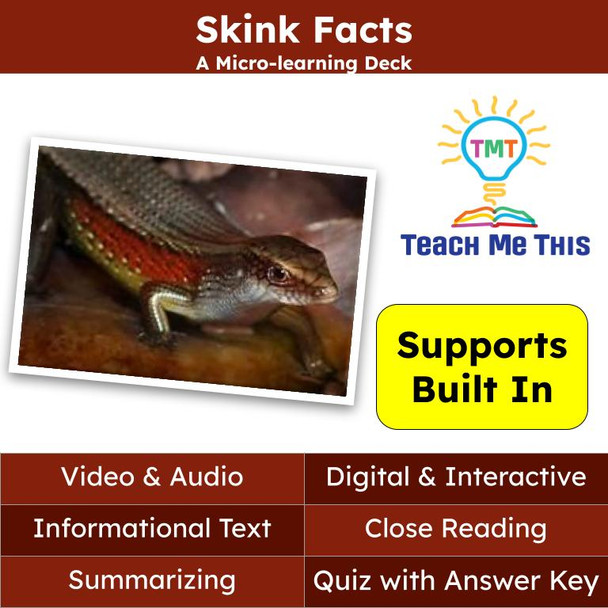 Skinks Informational Text Reading Passage and Activities